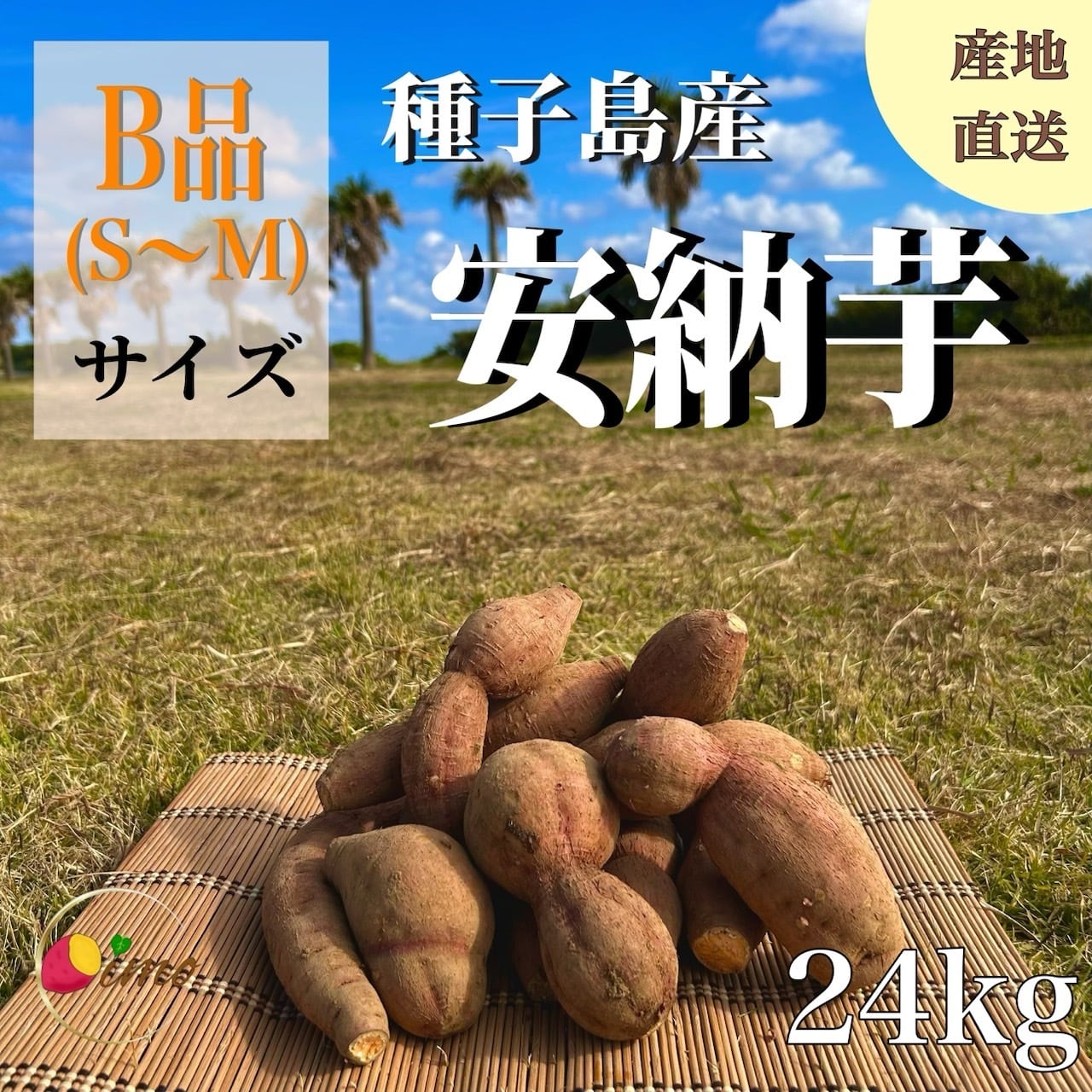 安納芋B品（S~Mサイズ） 1kg ： 約5~12個 | aimo農園