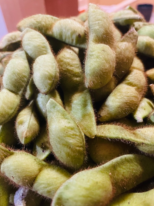 【お野菜便限定】有機中末農園の黒枝豆500g