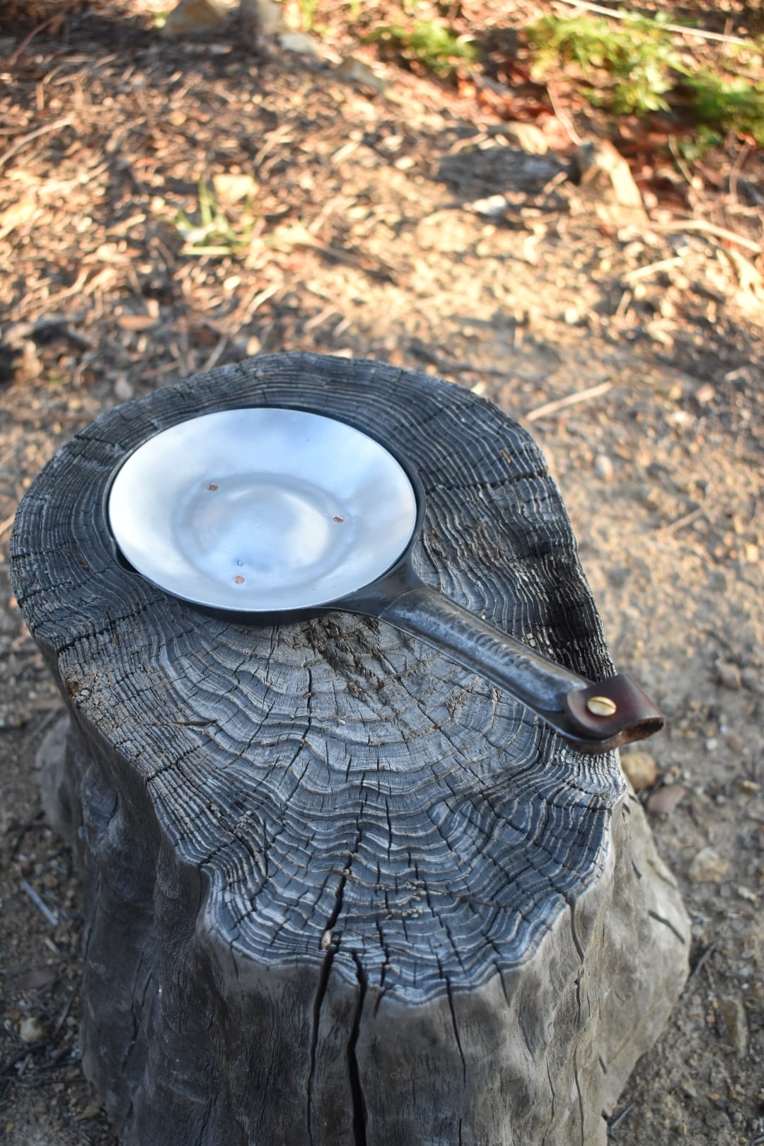 BushLid ブッシュリッド Fryingpan15-16cm φ14.5cmLid | EVOLUTION
