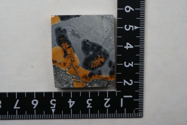 マリガノジャスパー maligano jasper ③