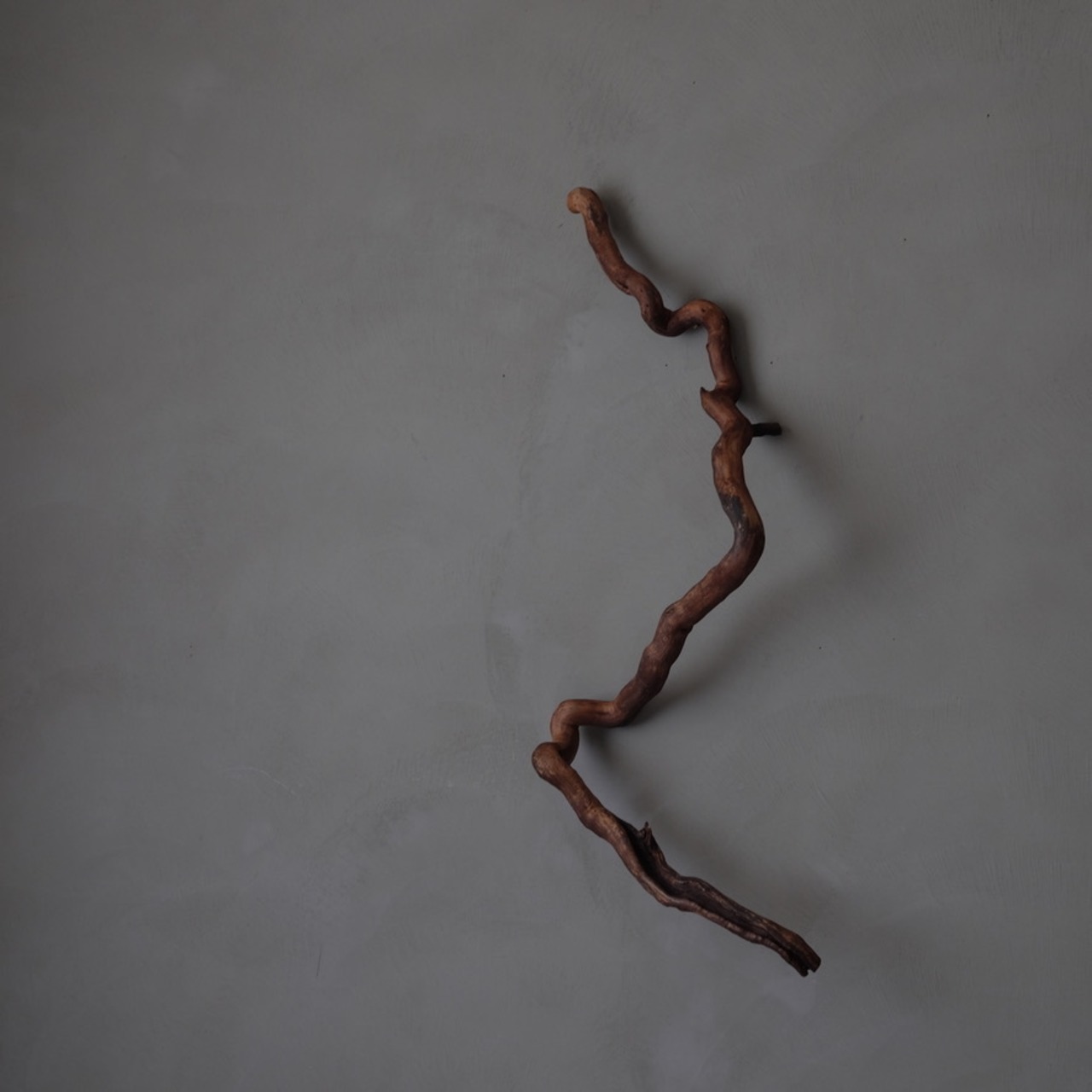 Branch