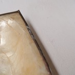 四角いシェルのトレイ