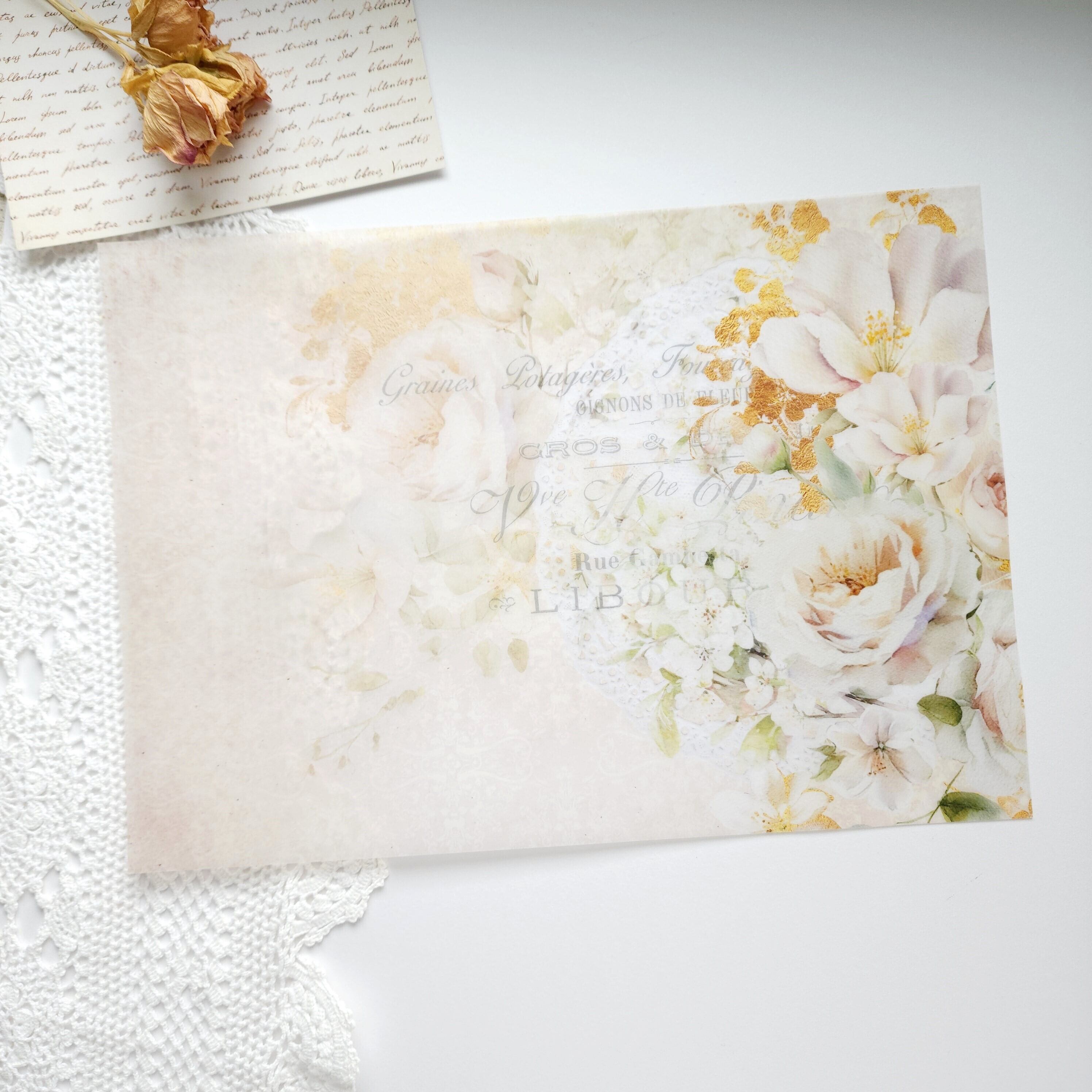 366c0ff23e135c4b4324030fe735ee