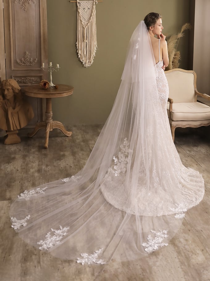 PRONOVIAS プロノビアス ロングベール | hartwellspremium.com