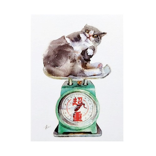 台湾ポストカード 水彩猫「最好我有這摩胖」