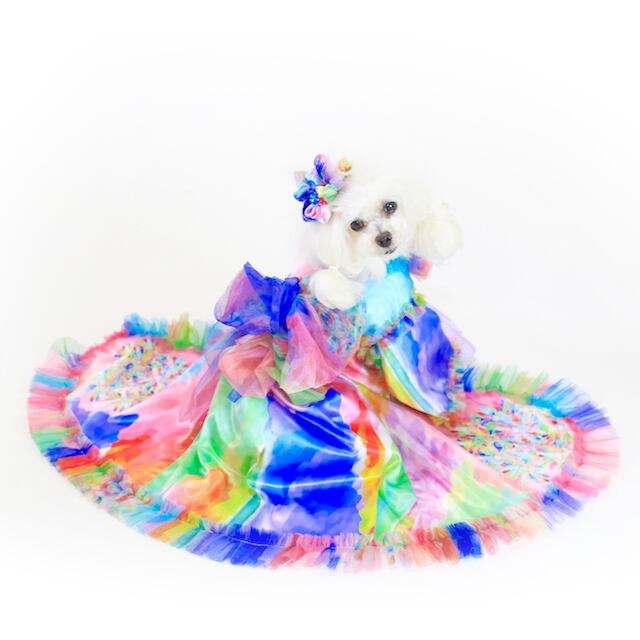 jibun-fukuDOG【オーダードレス】DOGDR2018120_XS~ML