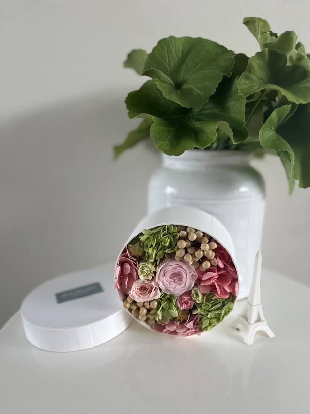 white box flower Iris flowers