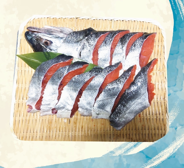 北海道産 新巻鮭 半身切り身セット 3.0kgサイズを半身切身【送料・箱代無料】