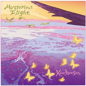 Mysterious Flight