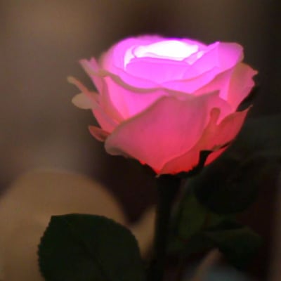 36842d7f31419f2299795d11f709a8