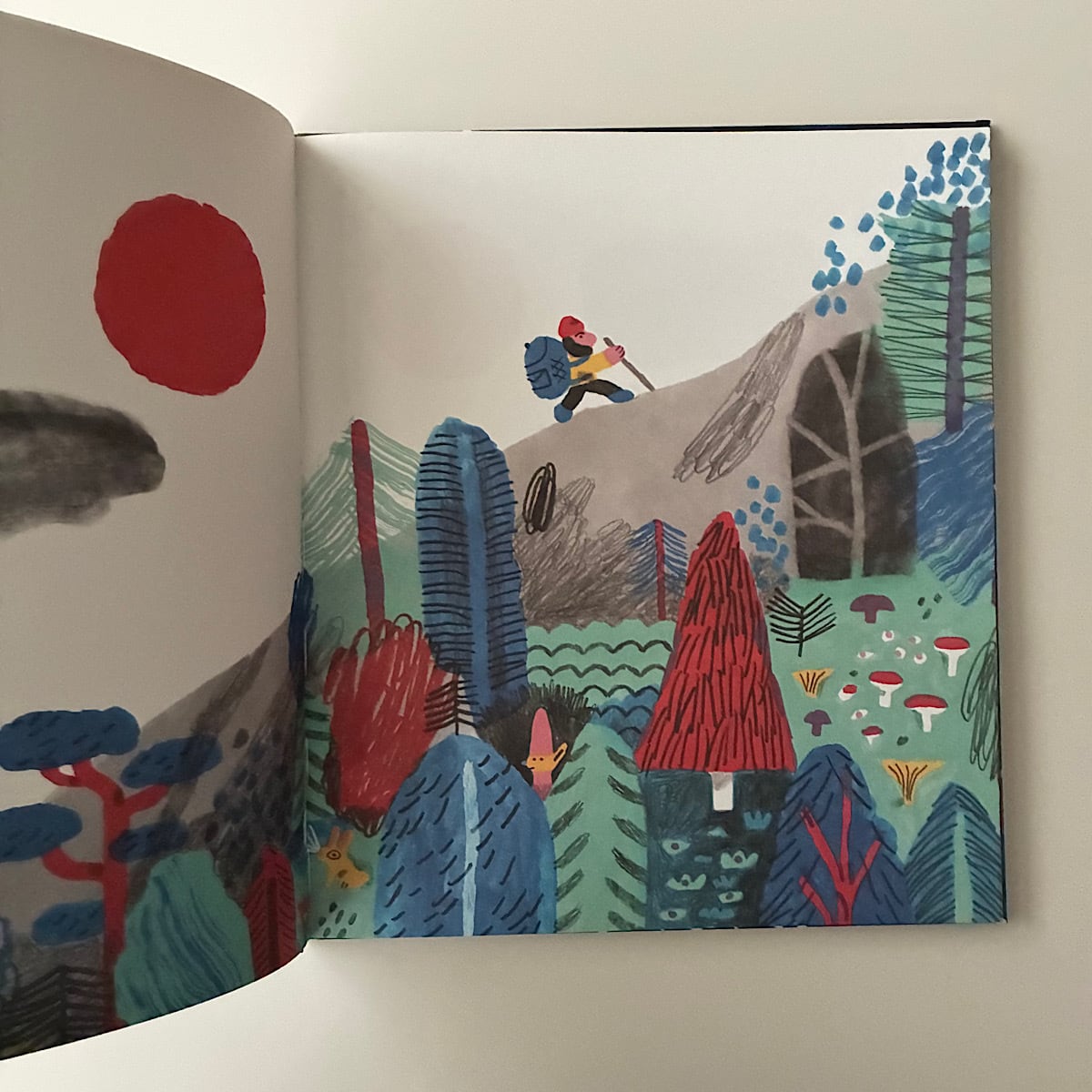 Solo una noche / ある夜に | 素敵な洋書絵本のお店 Read Leaf Books