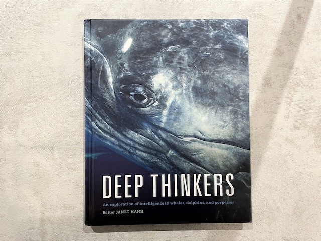 【VP010】Deep Thinkers/visual book