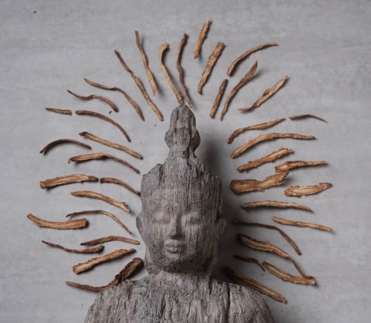 【却外神農】椒田 Sichuan Pepper Field