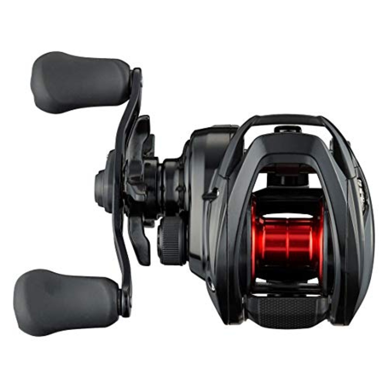 ダイワ(DAIWA) ベイトリール 21 PR100L