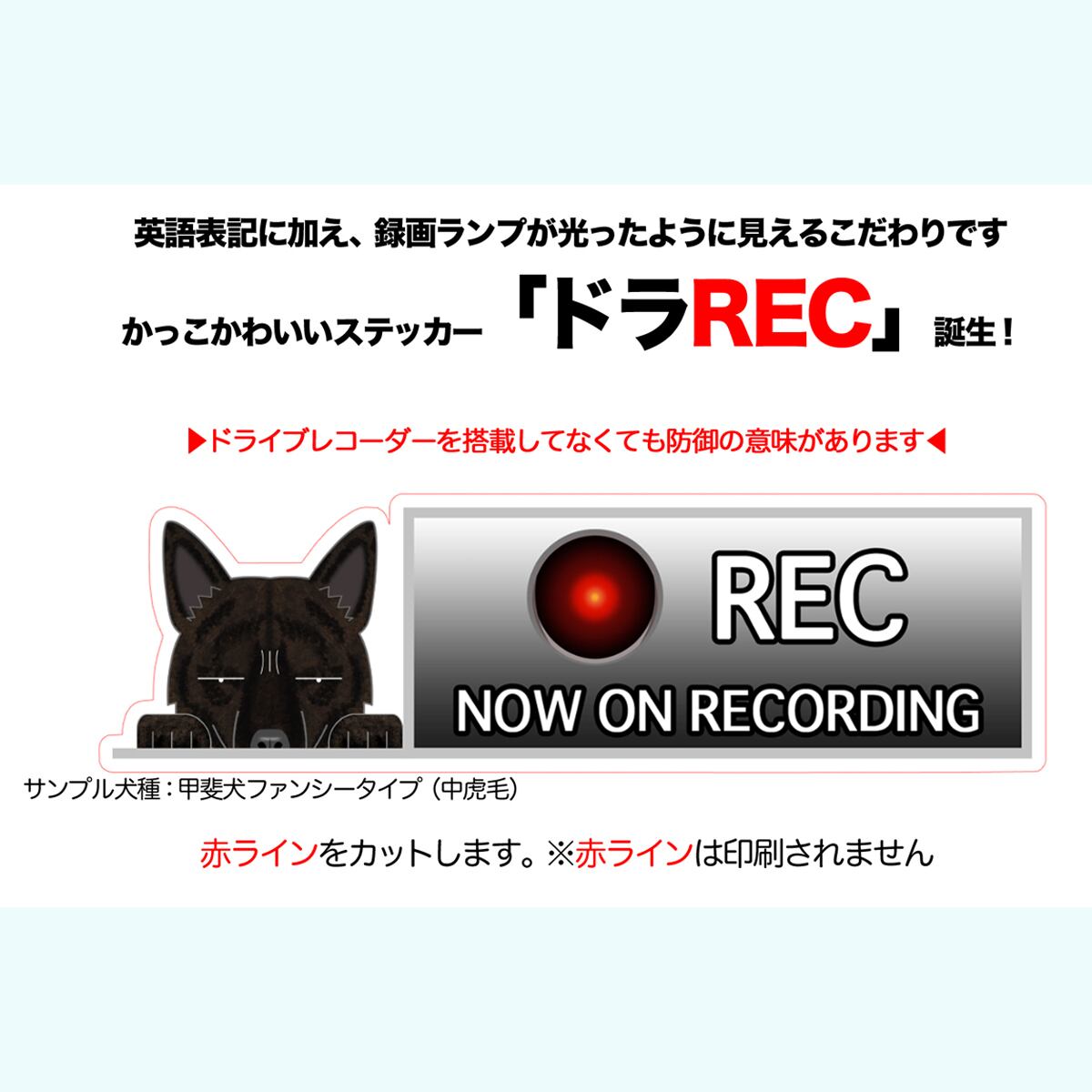 ドライブレコーダー ステッカー カーステッカー グッズ ドラREC ドラレコ 和犬 日本犬 犬 犬ステッカー 甲斐犬 車 車載 録画 録画中  2021年新作入荷 犬