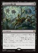 MTG《クモたちの晩ご飯/Supper for Spiders(HOB)》日本語