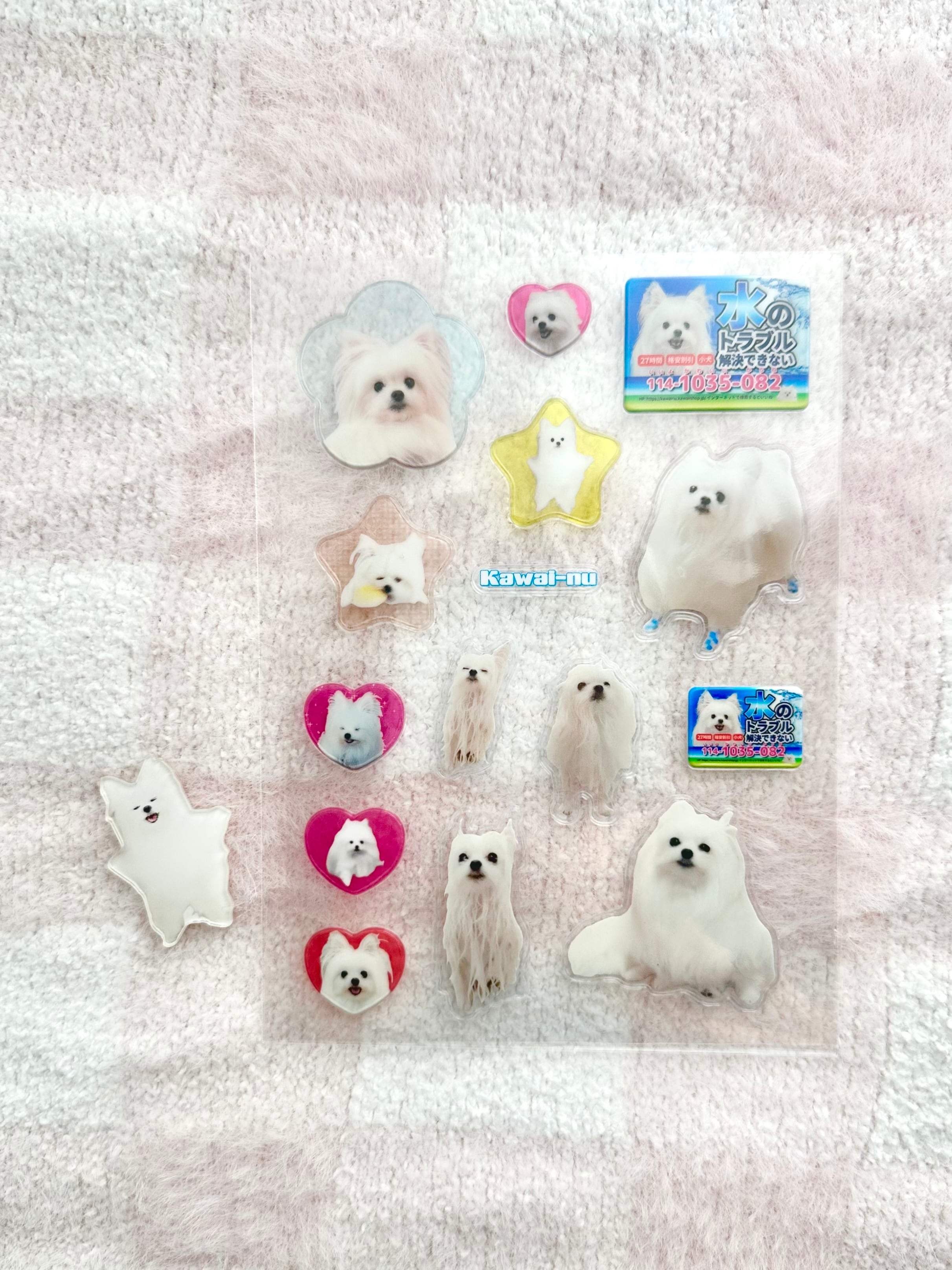 かわいーぬ本舗