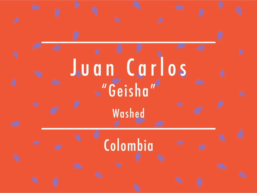【お得!500g】コロンビア / Juan Carlos "Geisha" Washed