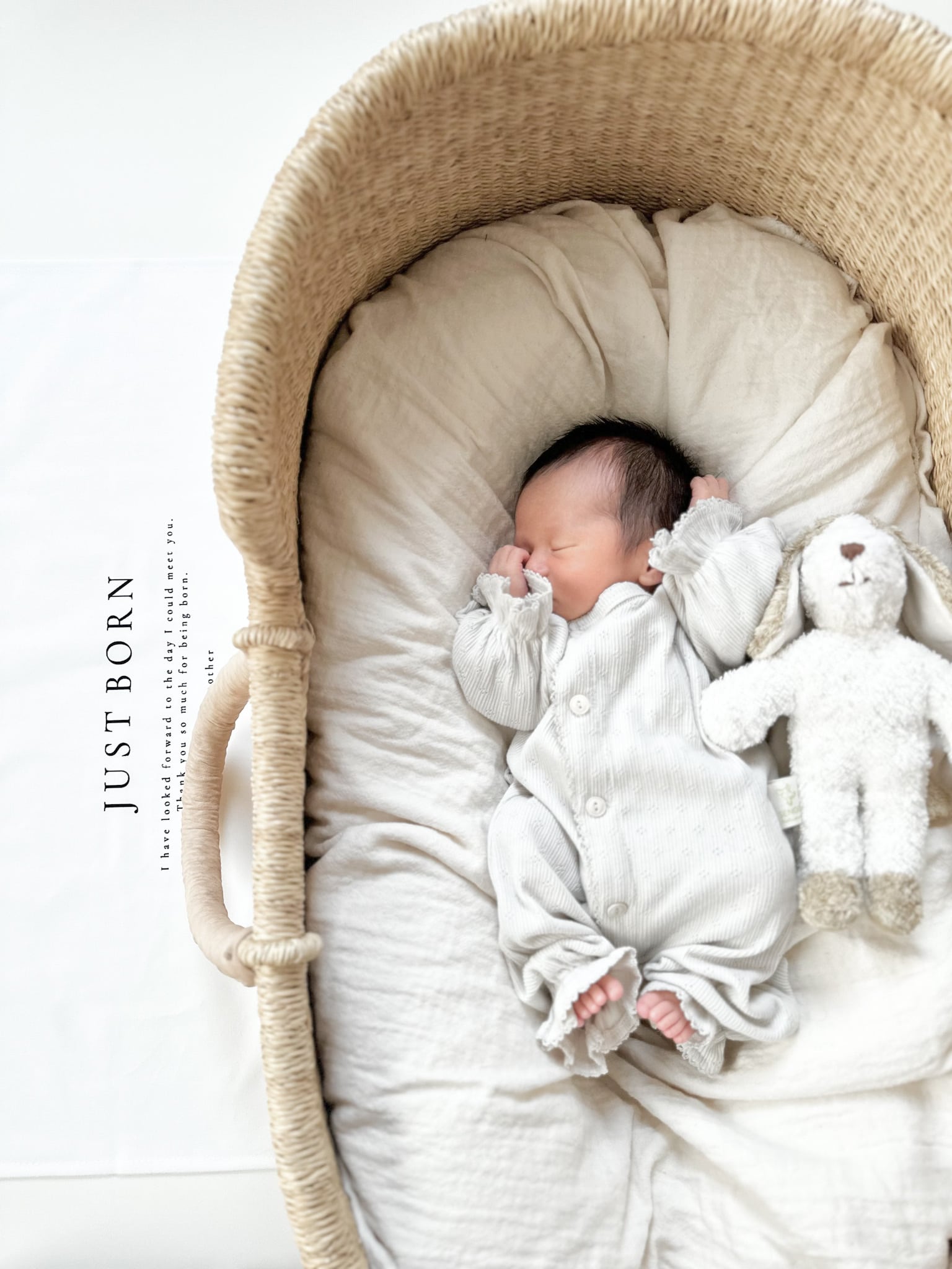 T025 【 JUST BORN tapestry 】 ニューボーン 新生児 誕生祝い