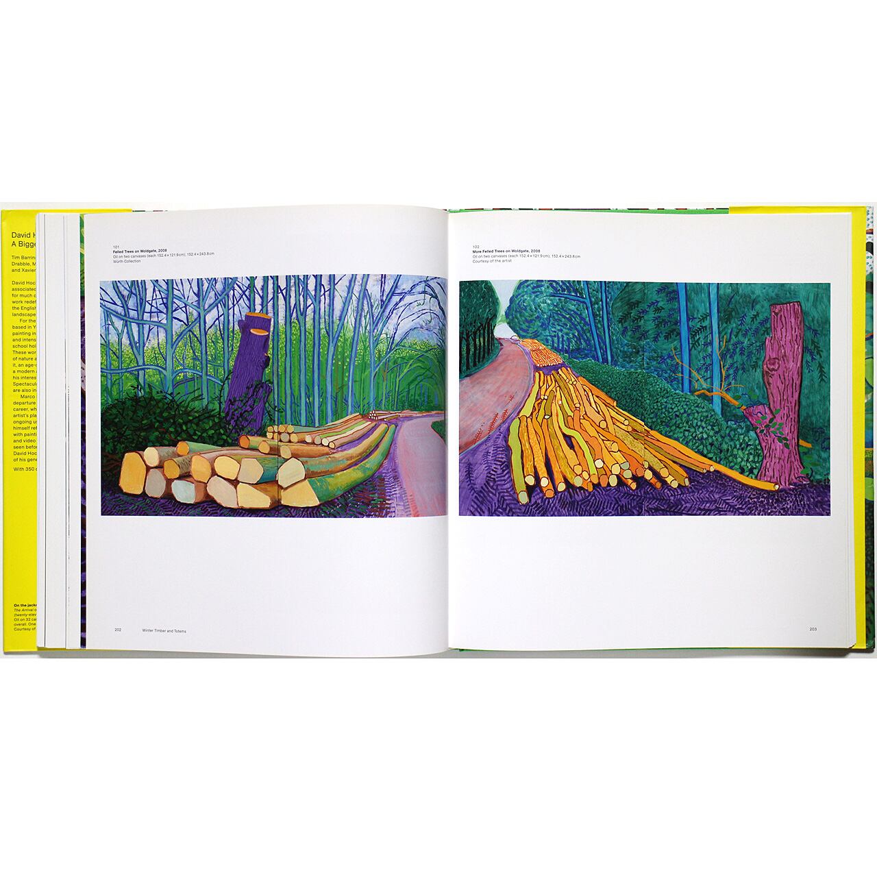 David Hockney: A Bigger Picture デイヴィッド・ホックニー：ザ