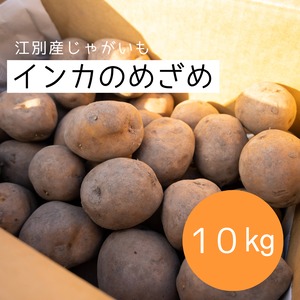 【ひと味違う甘み！】越冬じゃがいもインカのめざめ10㎏