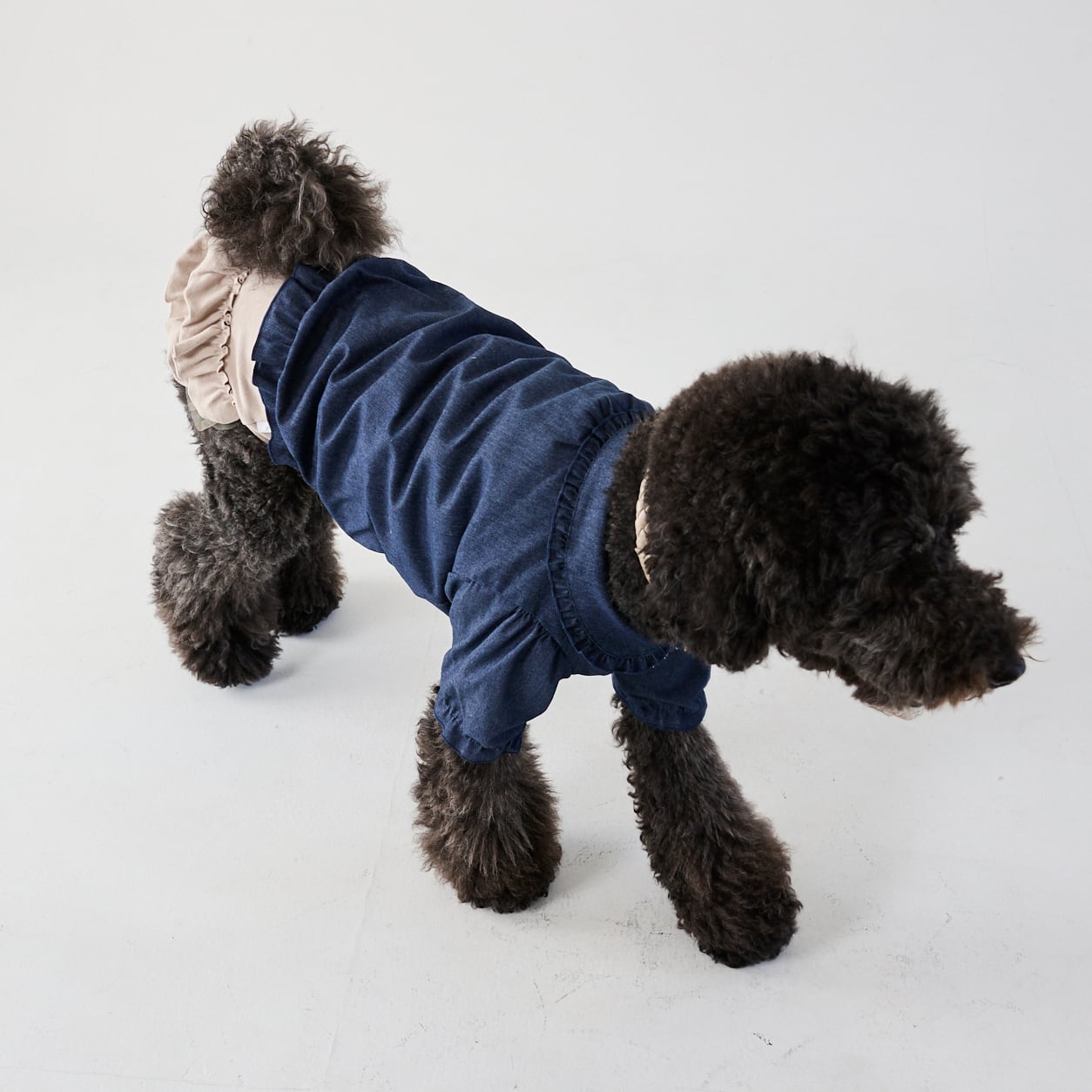 252502大型犬サイズ］デニムフリルブラウス | 犬服ブランド 2e