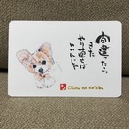 ポストカード　82（チル）