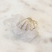 shell earrings