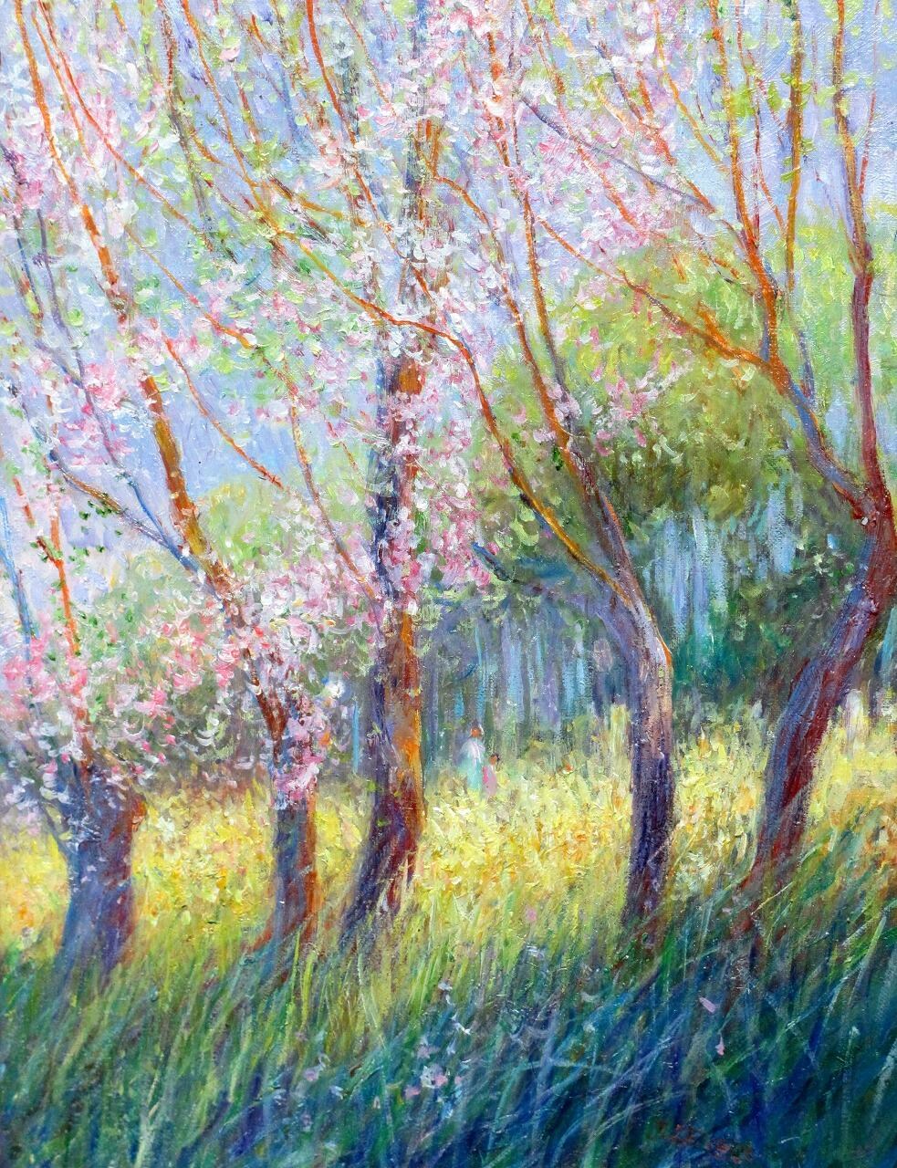 春の日差しと桜の花 | Spring sunshine, cherry blossom