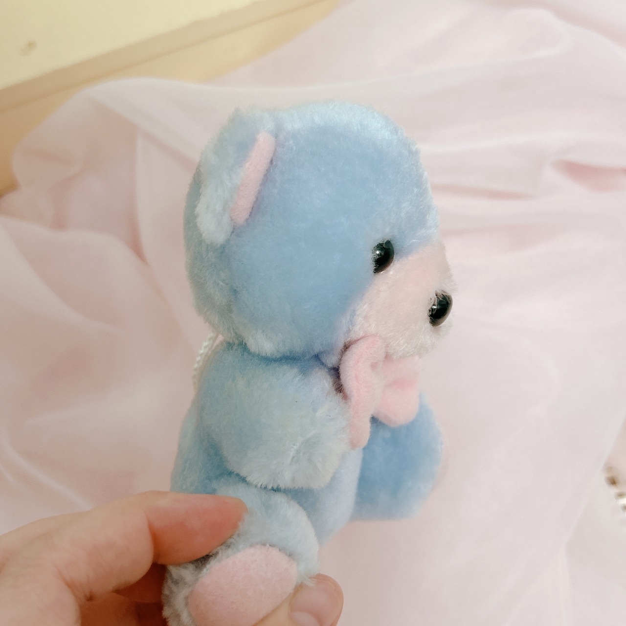 Pastel kumaの画像03