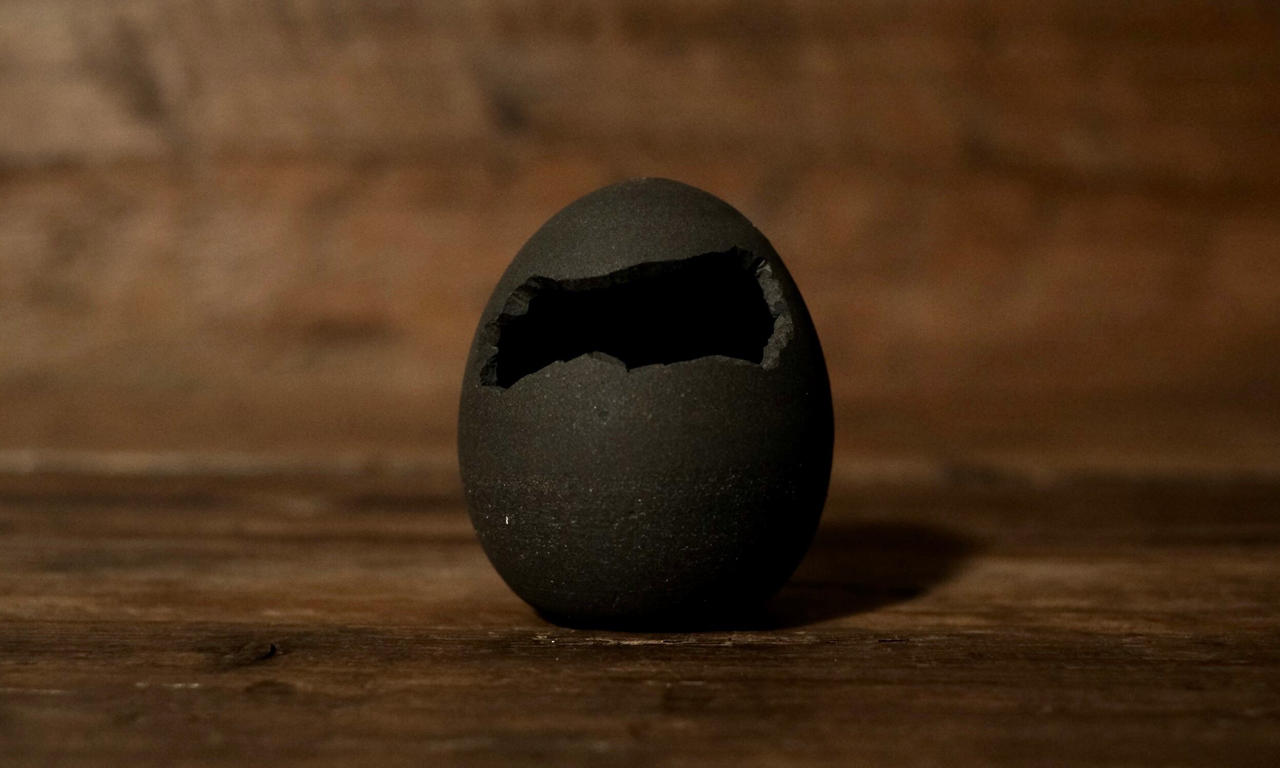 【oroku】『only one』egg