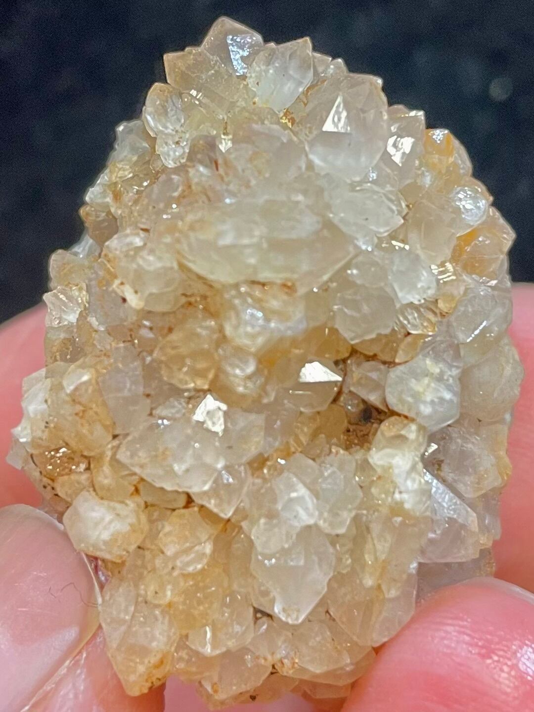 8) 超ボルテックス・パワー!「セドナ・レムリアン・カクタス」クオーツ(小型)