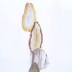 Chocolate Forest - アゲートヒーリングチャイム / Agate Sun Catcher Wind Chime 395