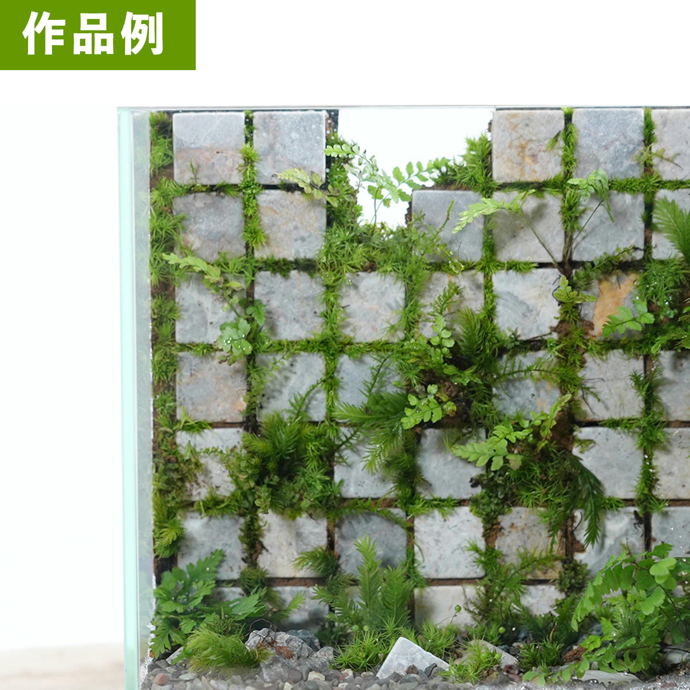 石壁の作製にストーンシート◇選べる2色（ブラック／ホワイト） | 苔