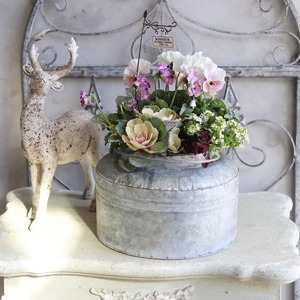 冬から春に楽しむ寄せ植え　ミルク缶でハボタンあかねのお正月におすすめの寄せ植え　ピック付き　お正月にオススメ　届いてすぐ玄関に飾れる 　プレゼントにもオススメ　