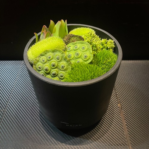 BOX ARRANGE（2025-0808）