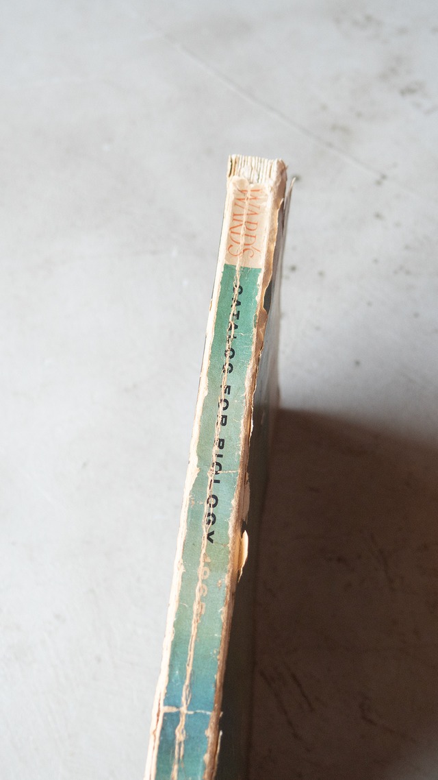 "WARD'S" 1960s  Catalog for biology book