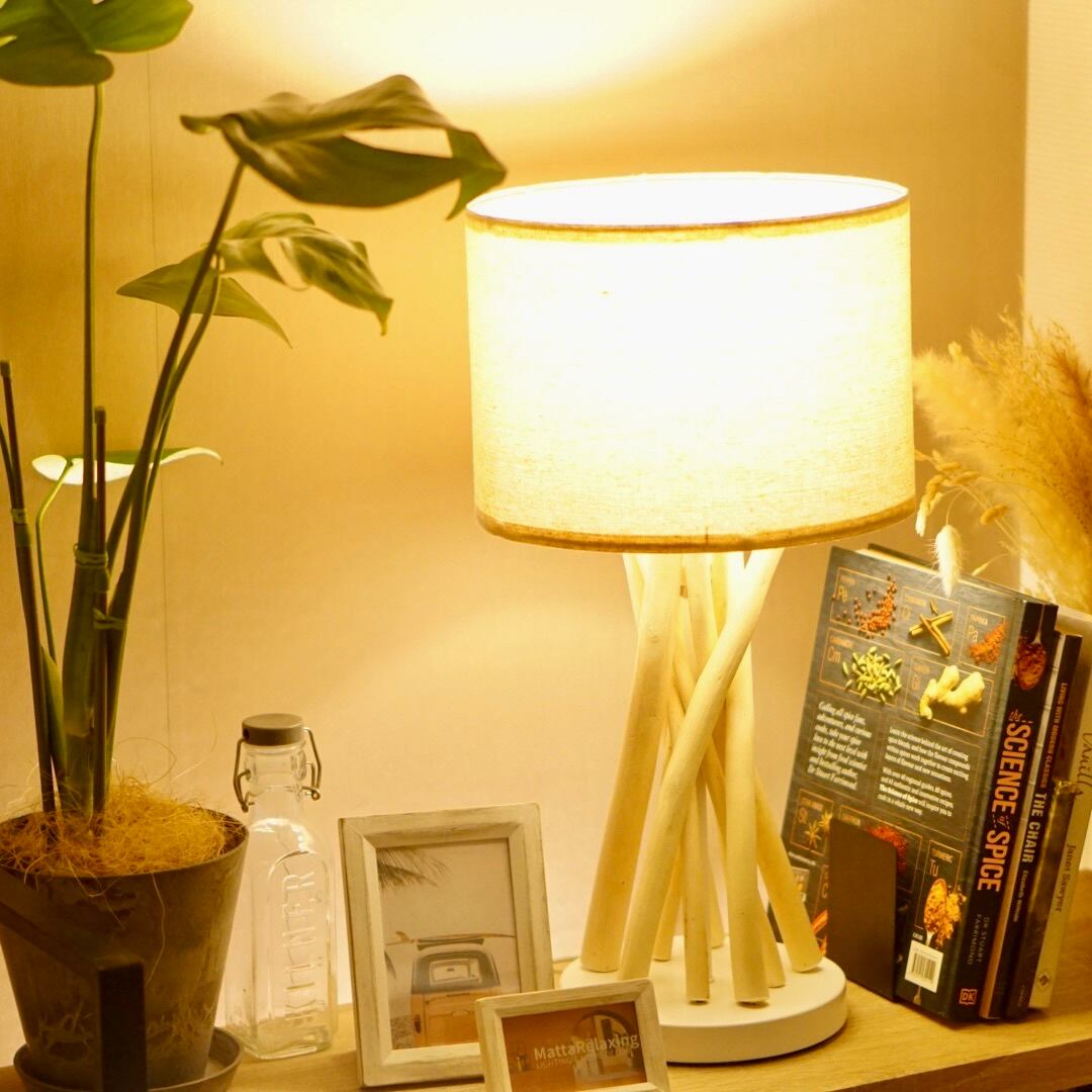 DRIFT WOOD TABLE LAMP ドリフトウッド・テーブルランプ 流木の