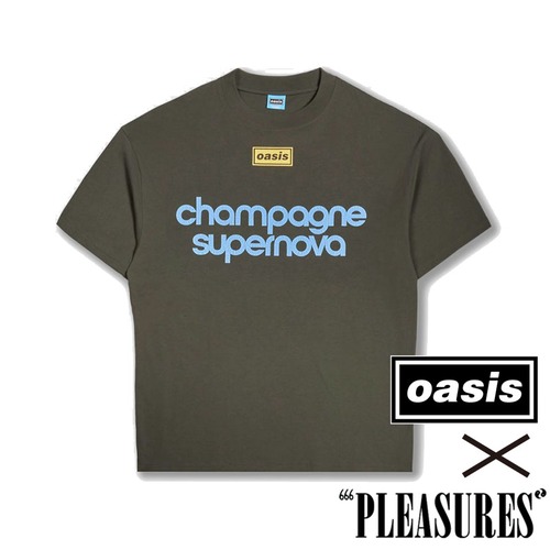 【PLEASURES/プレジャーズ×OASIS】NORDIQUE T-SHIRT Tシャツ / FADED BLACK / OASIS-14099
