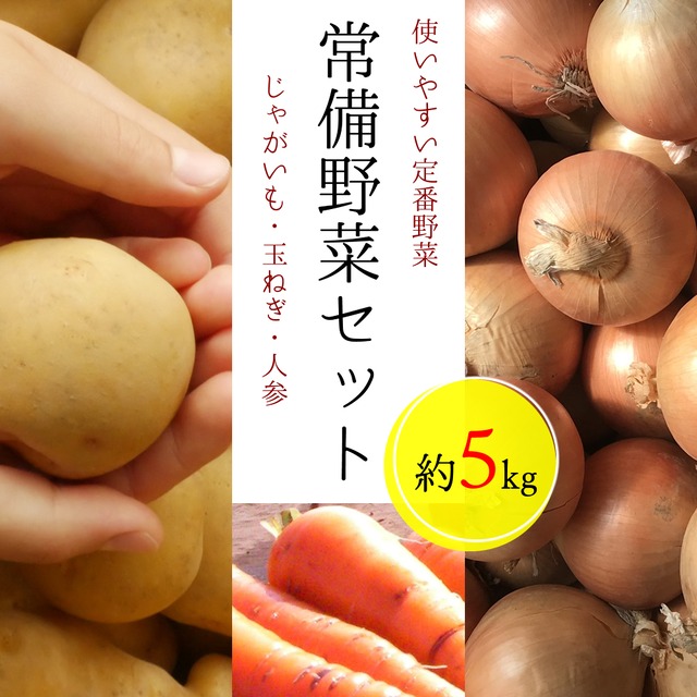 常備野菜セット じゃが玉人参 じゃがいも にんじん 玉ねぎ 長崎県産 5kg ニンジン 人参 ジャガイモ 芋 野菜 新鮮 九州 やさい