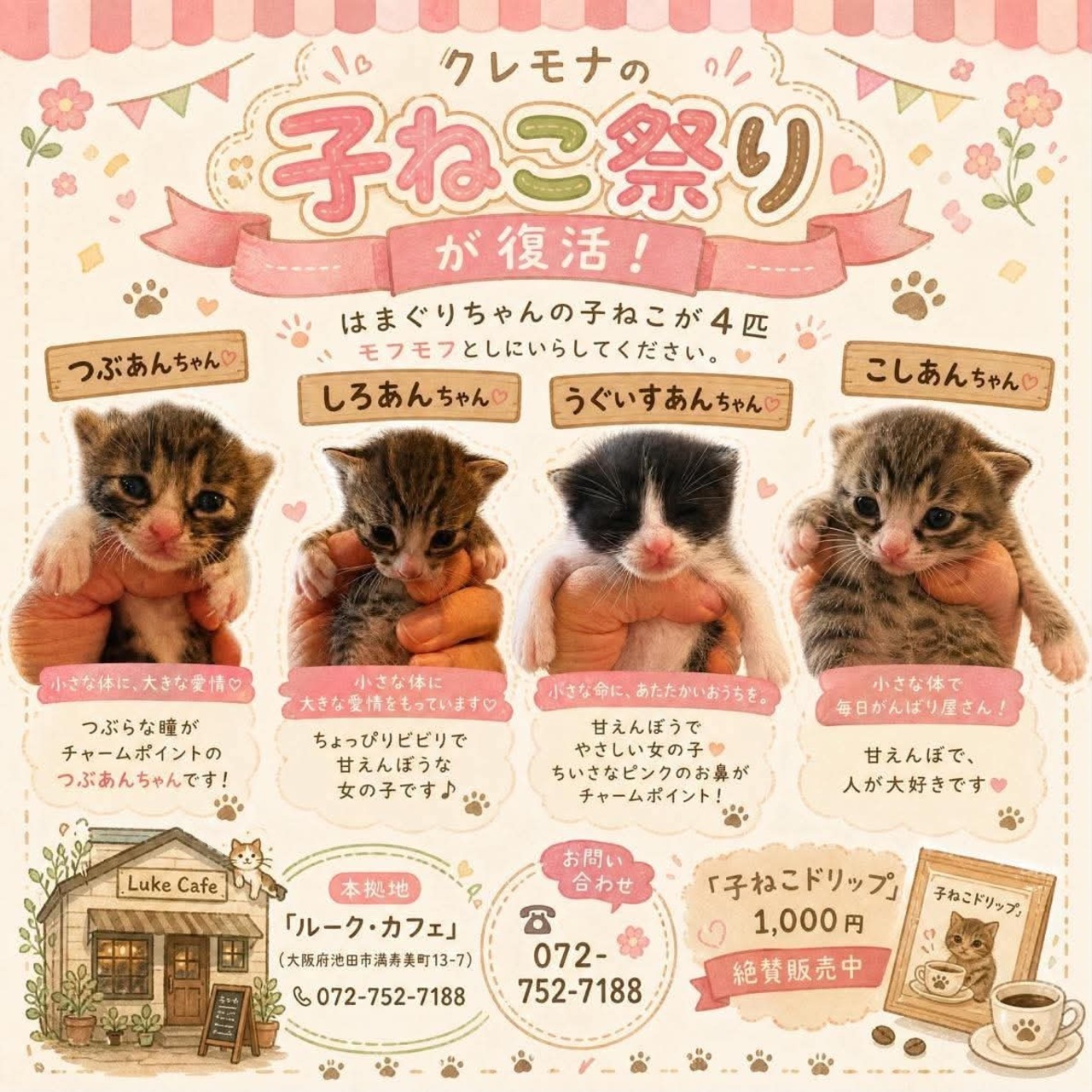 【ドリップ】こねこドリップバッグセット（4袋）