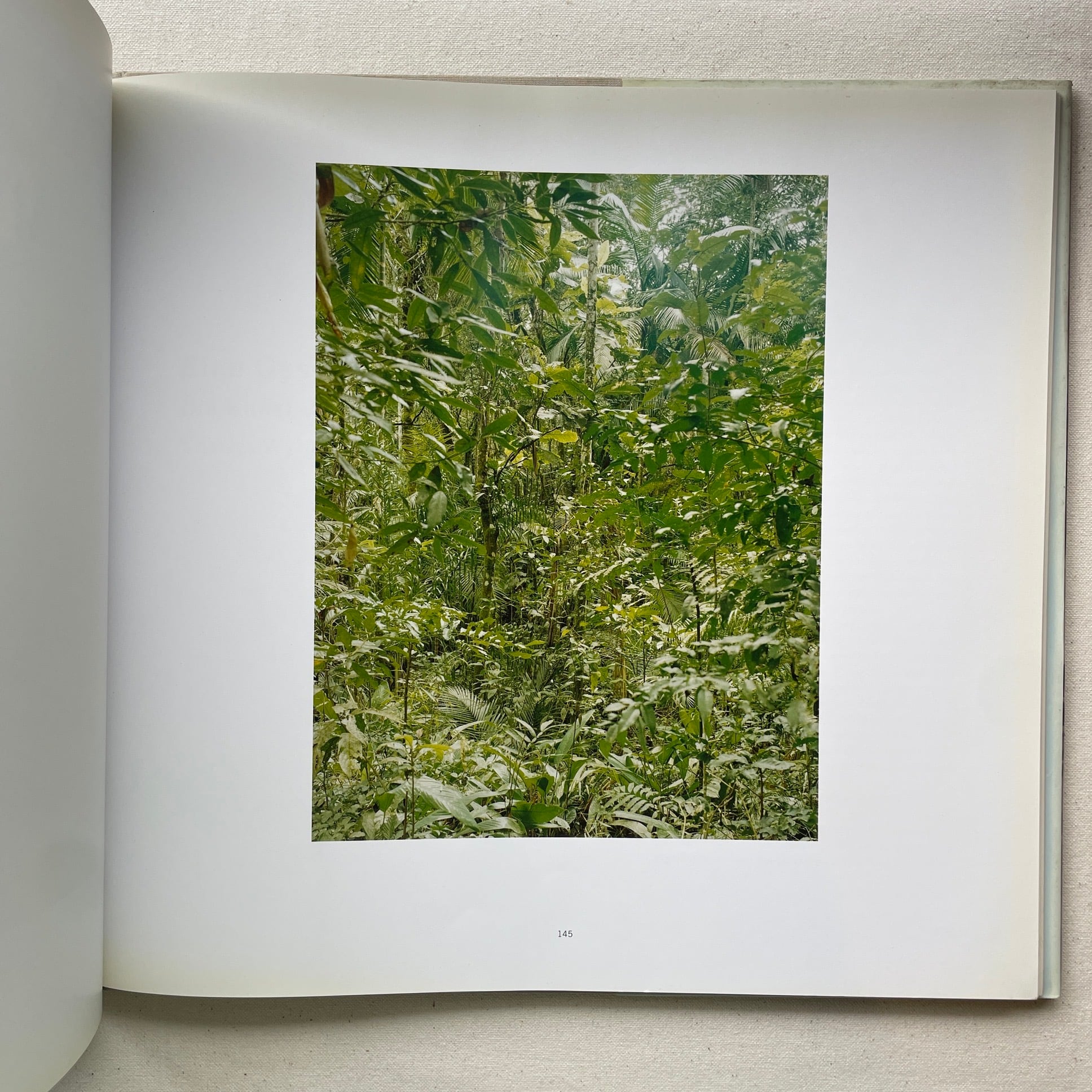 Thomas Struth: 1977-2002 (トーマス・シュトゥルート) | 汀線