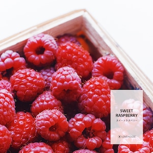 【10ml】スイートラズベリー フレグランスオイル (Sweet Raspberry)