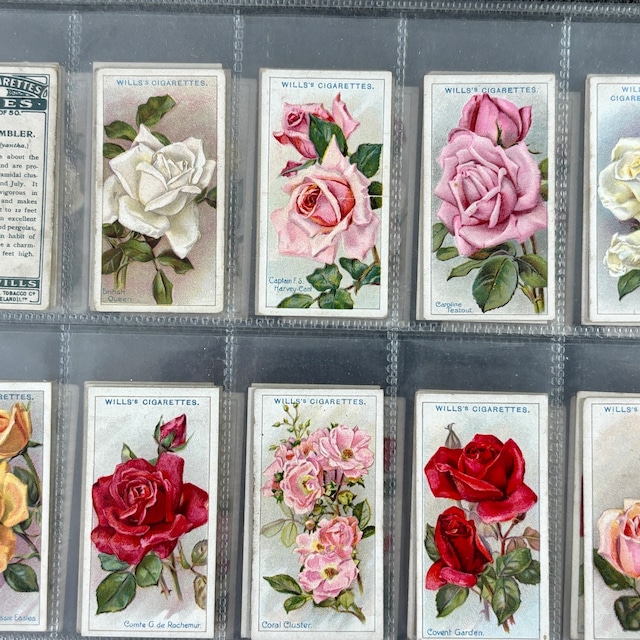 ✦-✦フルセット50枚 花 薔薇✦-✦ 英国 ヴィンテージ シガレットカード イギリス 英国  2604005-5