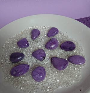 スギライトバラ　［35個］