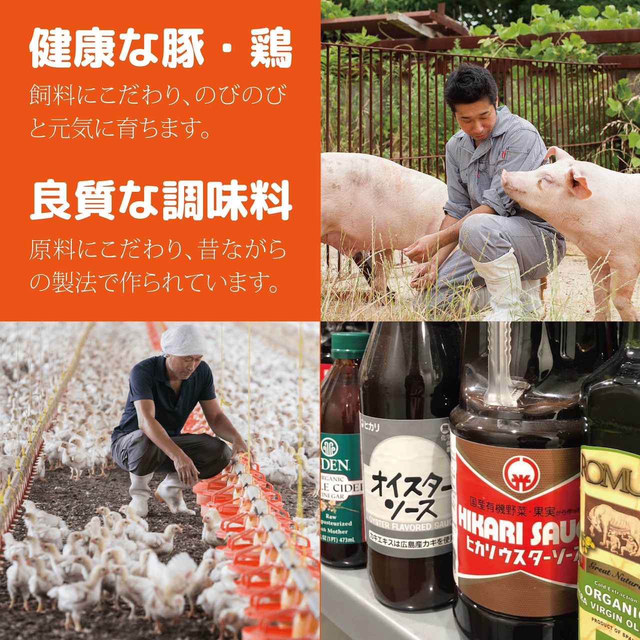 毎月お届け【定期便】　送料無料！6食セット（冷凍）ととのう弁当（6種類×各1食）