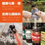 毎月お届け【定期便】　送料無料！6食セット（冷凍）ととのう弁当（6種類×各1食）