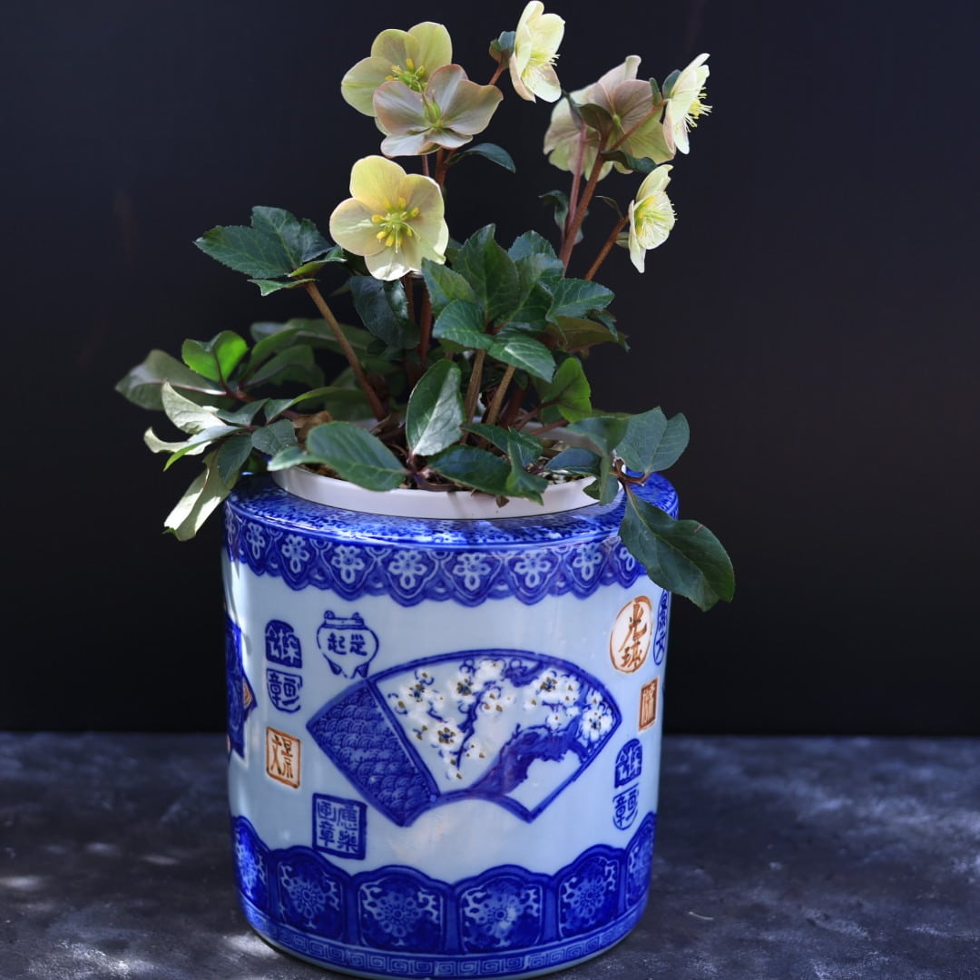 印判地紋菁磁 9寸火鉢 (白梅) | 芦屋貴兆陶家 online shop