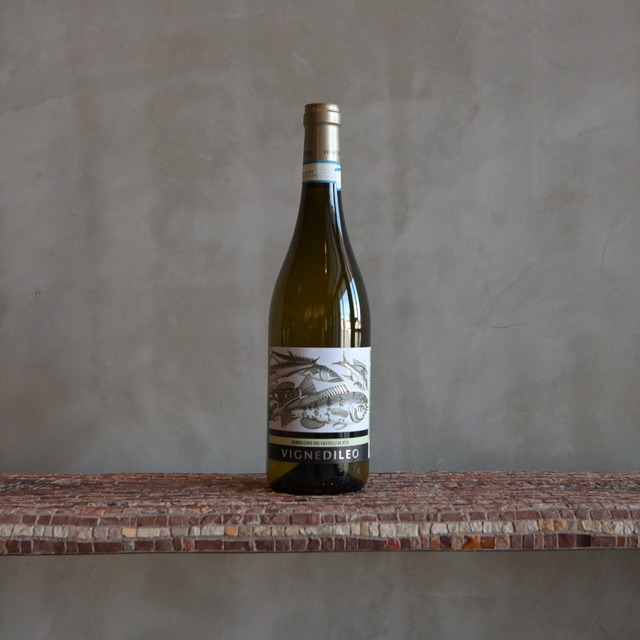 ヴェルディッキオ　デイ　カステッリ　ディ　イエージ　クラッシコ