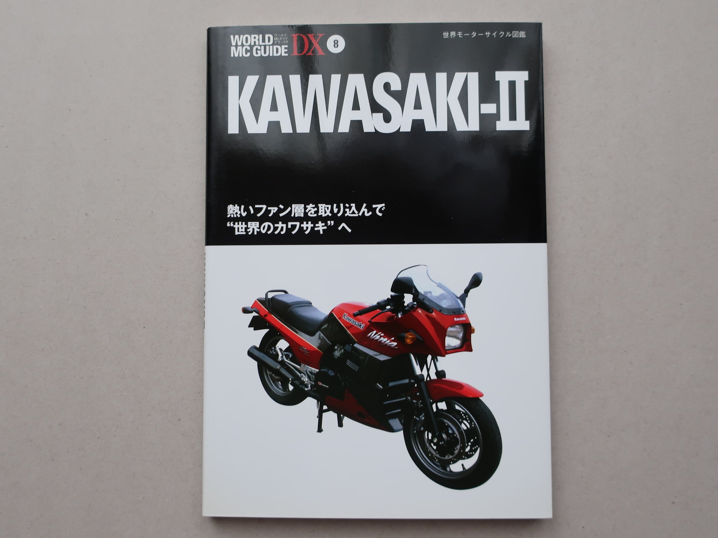 ライダースジャケットを着る人生 監修 田中凛太郎 | オートバイブックス
